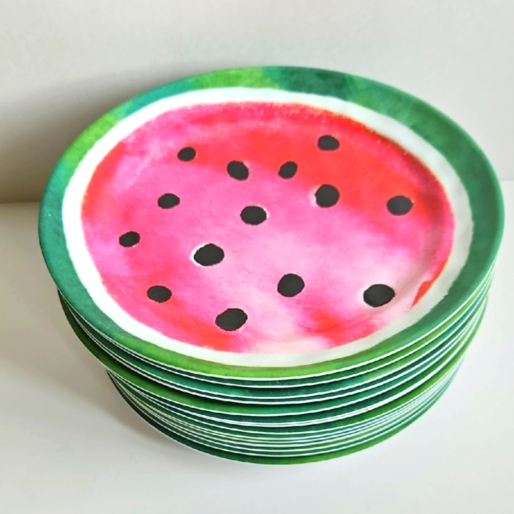 Pier 1 Set Of 14 WATERMELON Plates Melamine